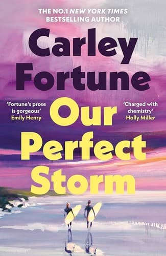 Our Perfect Storm cover