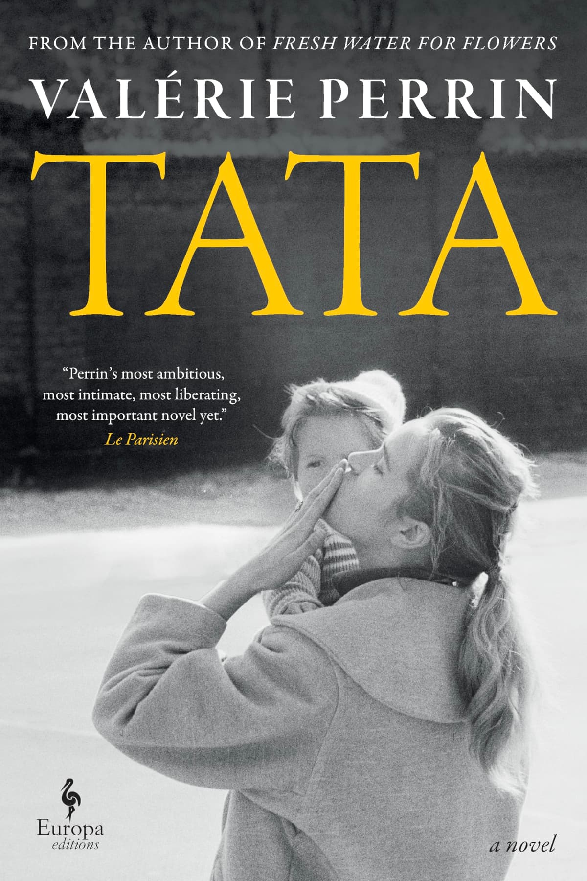 Tata by Valérie Perrin, book cover