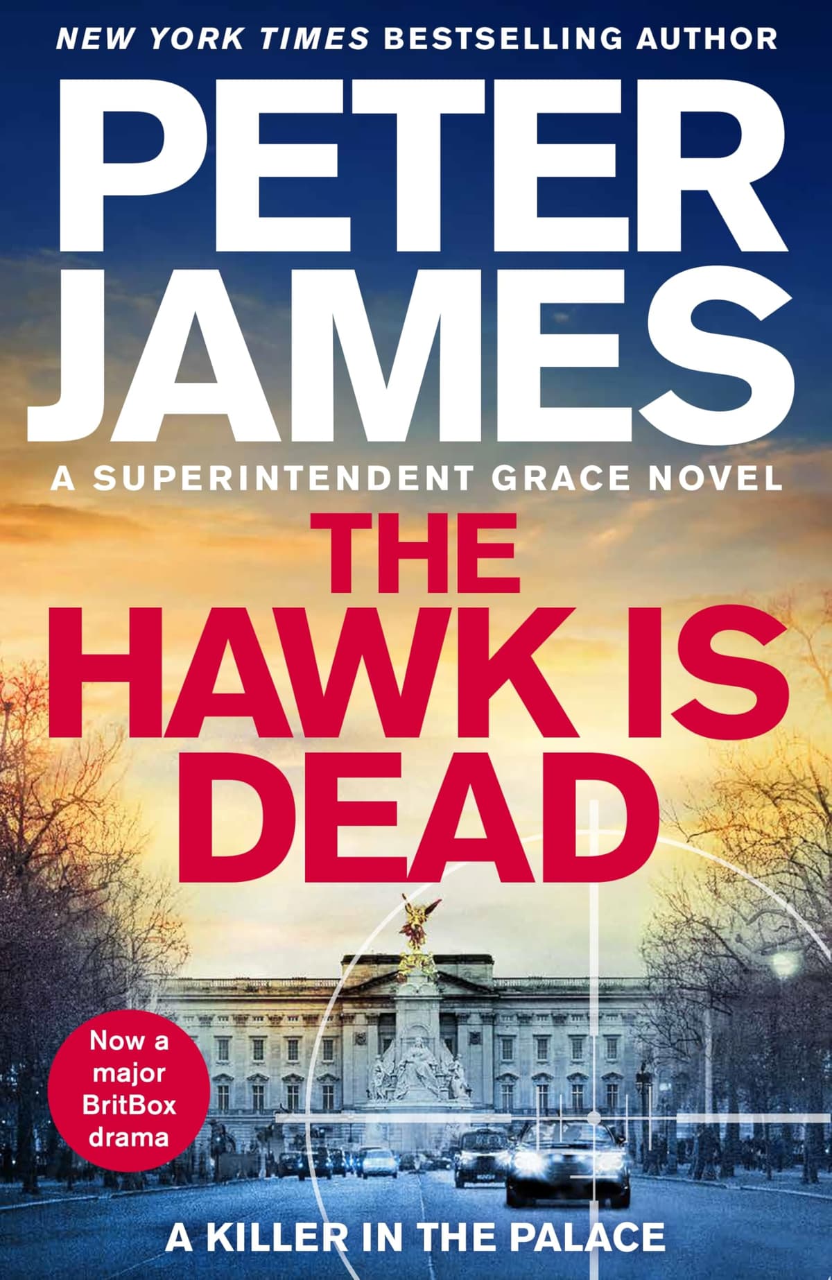 The Hawk Is Dead by Peter James, book cover