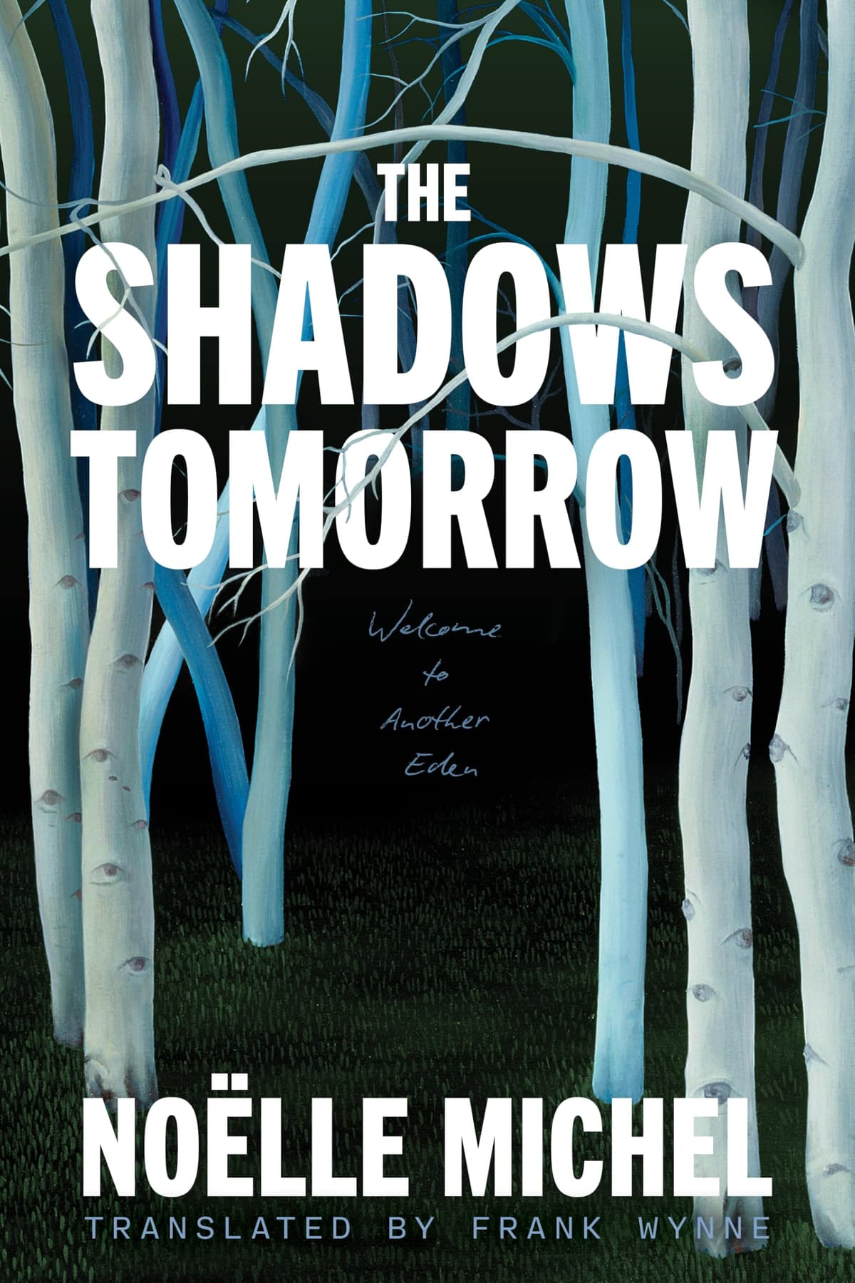 The Shadows Tomorrow by Noëlle Michel, book cover