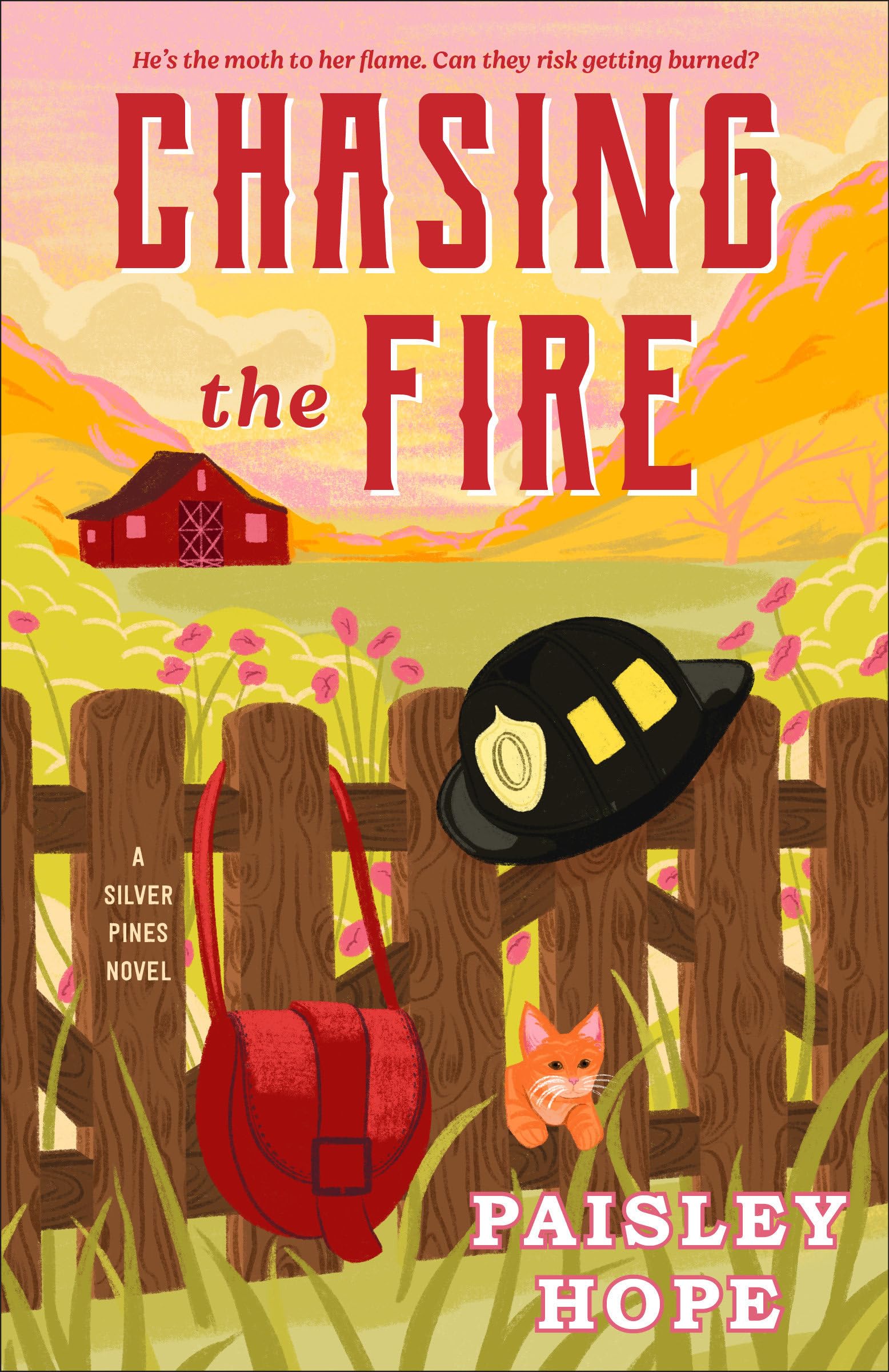 Chasing the Fire by Paisley Hope book cover