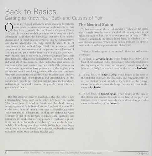 Back Mechanic book cover