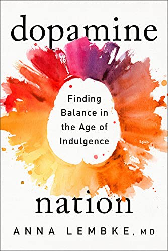 Dopamine Nation book cover