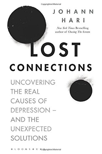 Lost Connections book cover