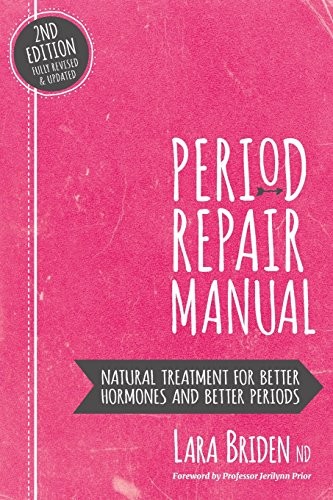 Period Repair Manual book cover