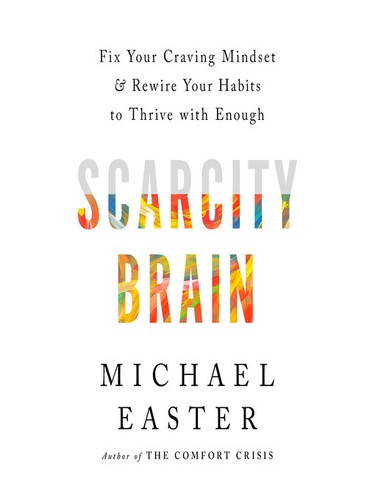 Scarcity Brain book cover