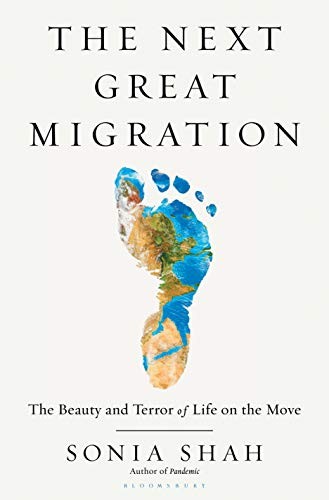 The Next Great Migration book cover