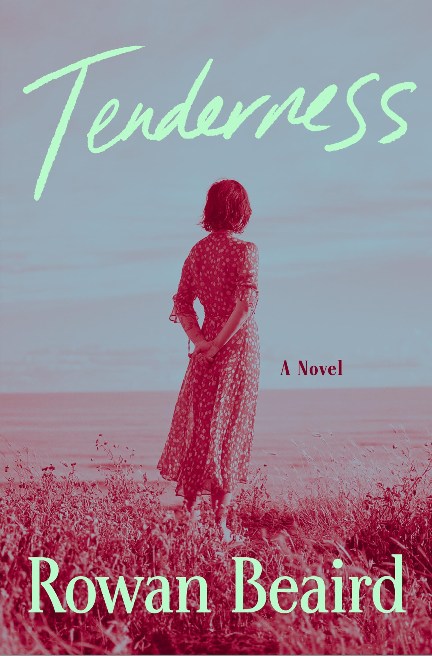 Tenderness by Rowan Beaird book cover