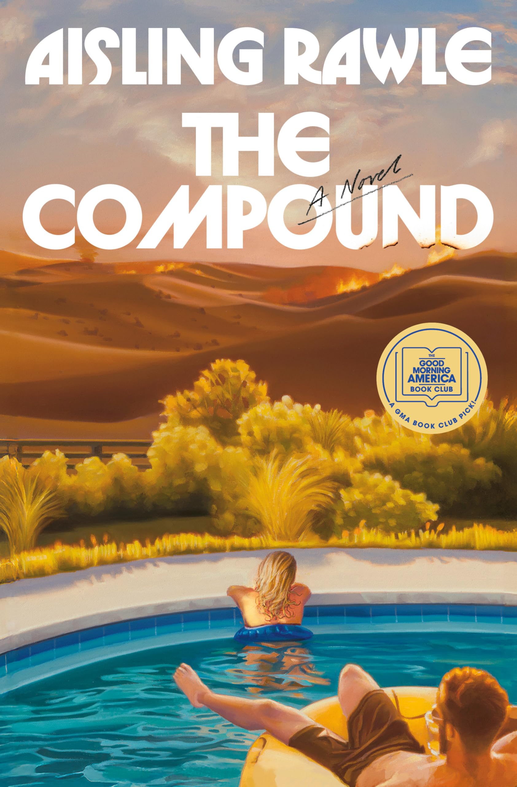 The Compound by Aisling Rawle book cover