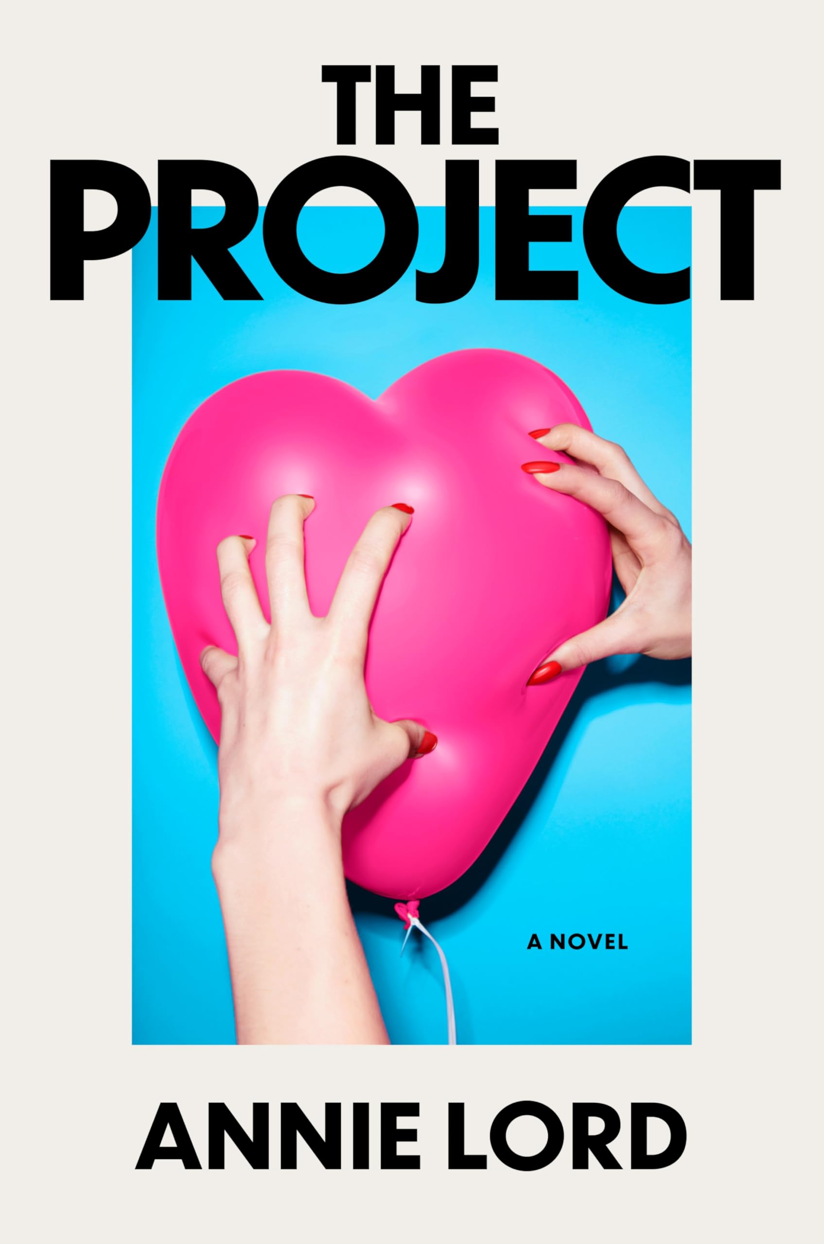The Project by Annie Lord book cover