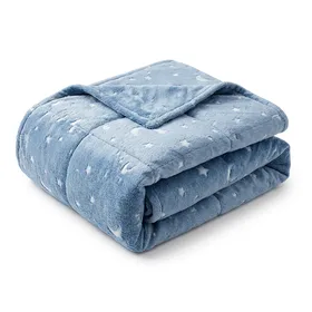 Degrees of Comfort Kids Weighted Blanket with Cover