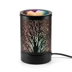 Enaroma Fragrance Wax Melts Warmer with 7 Colors LED