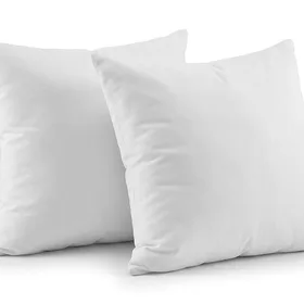 EDOW Throw Pillow Inserts, Set of 2 Lightweight Down Alternative Polyester