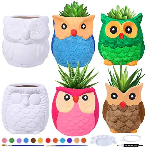 Winlyn 6 Sets DIY Ceramic Owl Succulent Pots Paint Craft Kit, Unpainted Ceramic Bisque Owl Planters