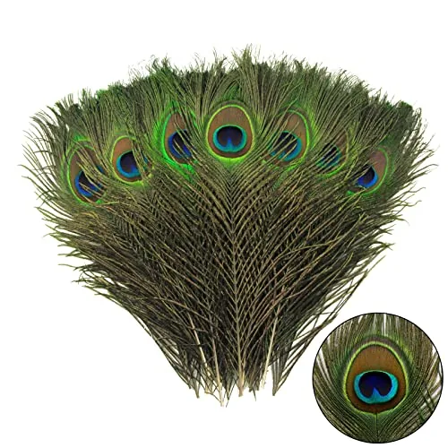 THARAHT 12 Piece Natural Peacock Feathers, 10 to 12 inches, for Vases plus Decor