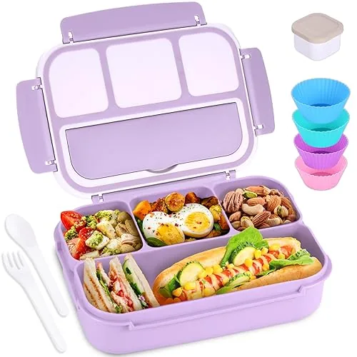 Shell and Turtle Bento Box Lunch Container for Kids and Adults, 4 Compartments