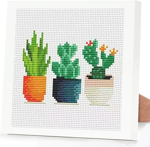 Tiwabb Succulent Stamped Cross Stitch Kit for Adults and Beginners with Frame
